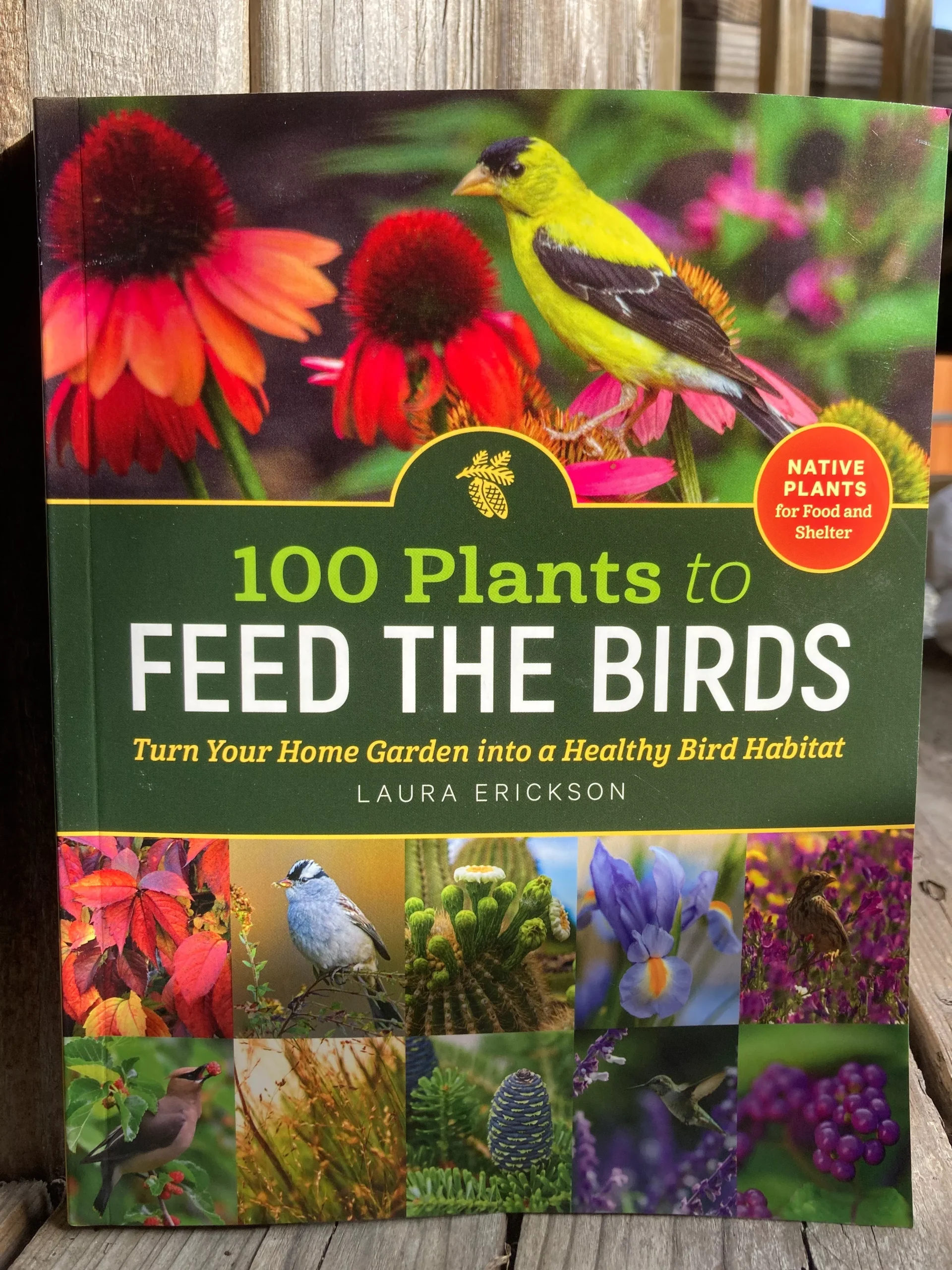 100 Plants to Feed the Birds