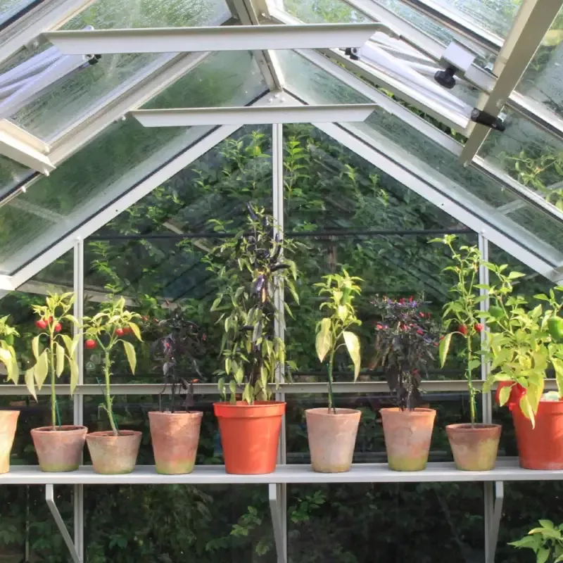 10ins x 6ft Slatted Shelf