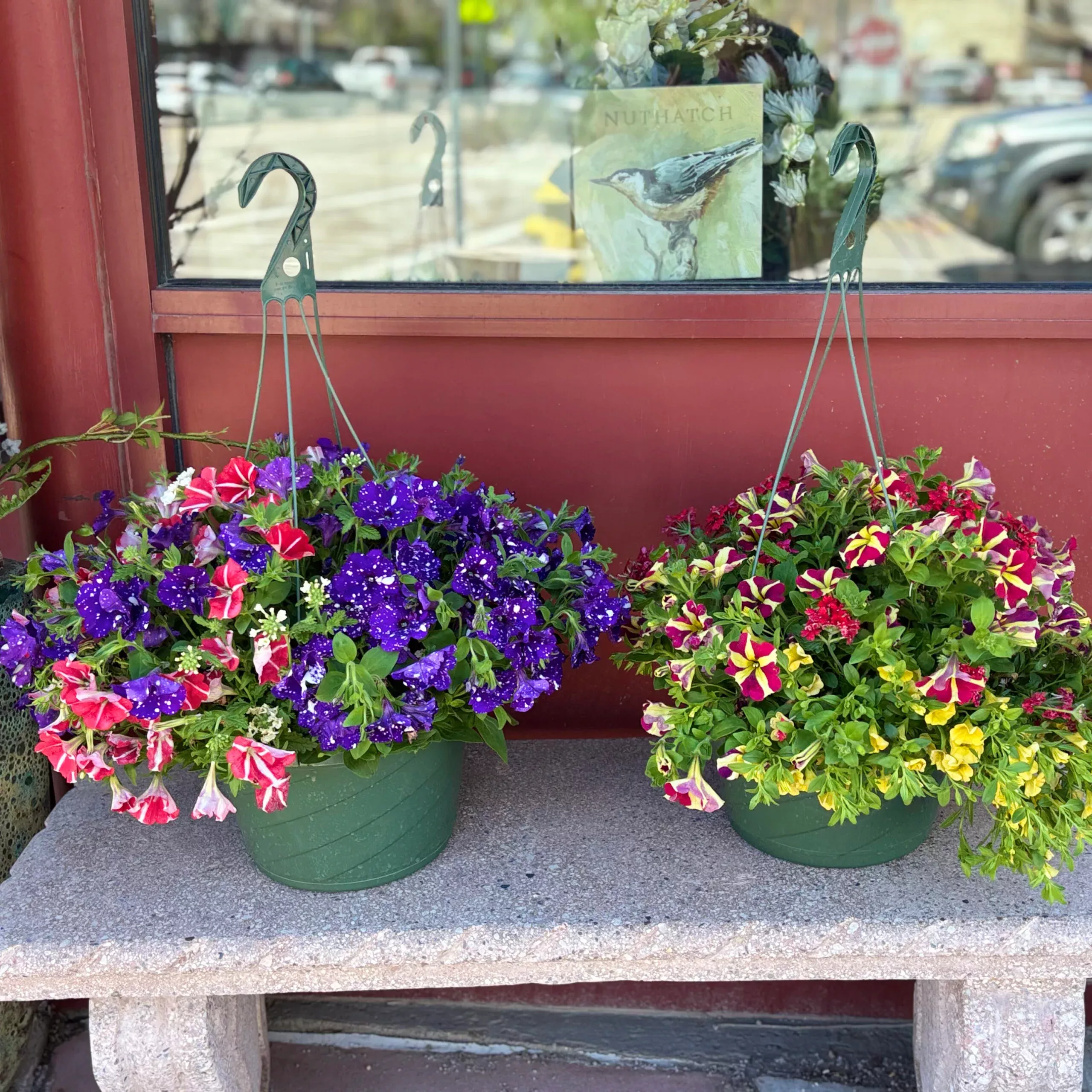 #11 Prem. Hanging Basket COMBO