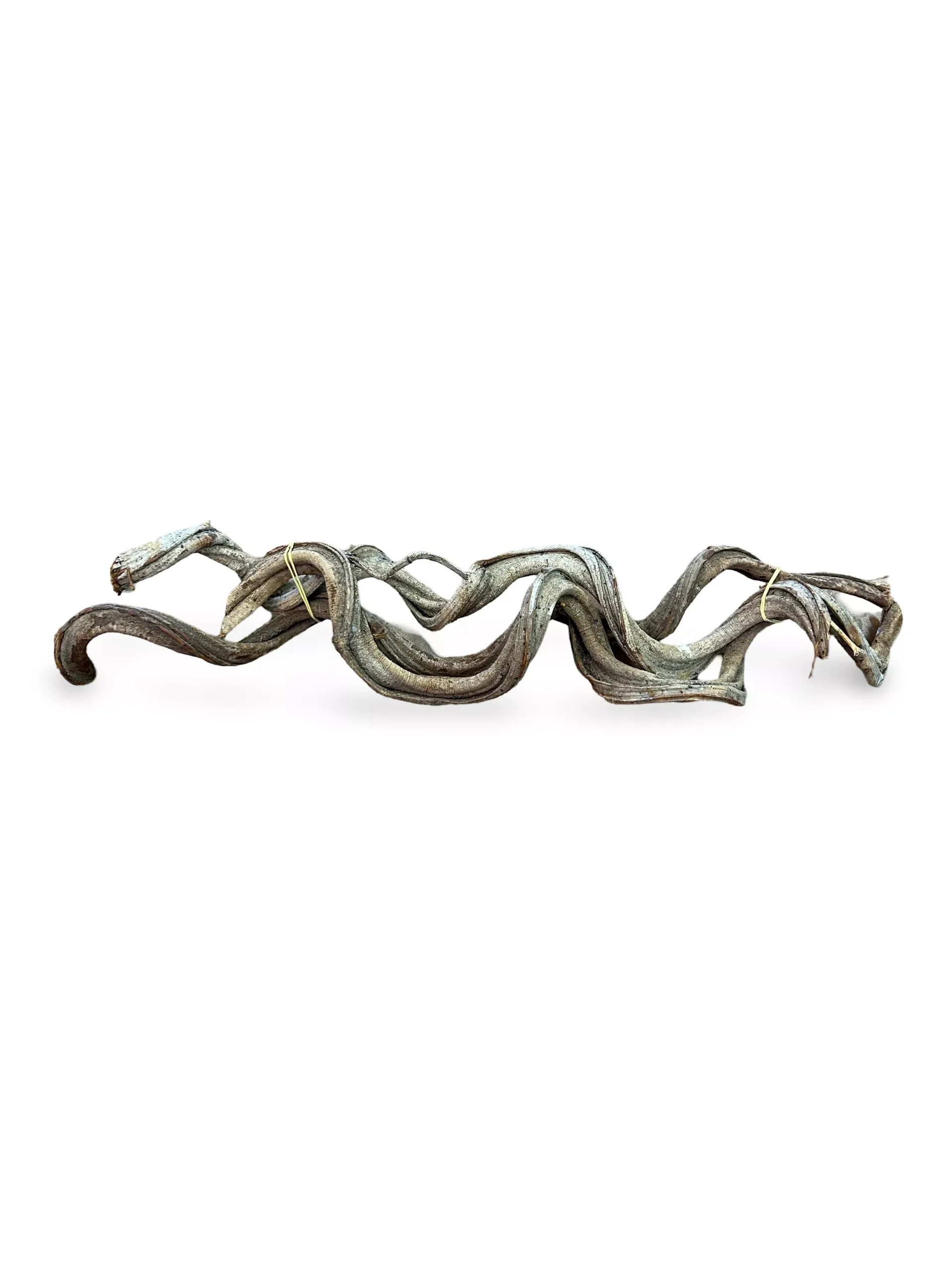 18-22" NATURAL TWISTED VINE