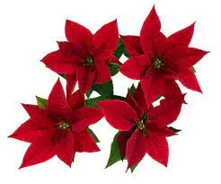 2" Poinsettia