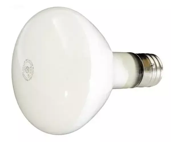 500W,110V, R40 LITE BULB