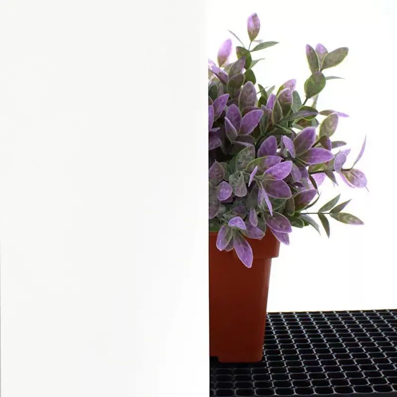 6mil White Greenhouse Film