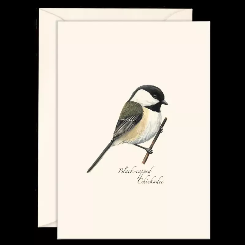 8-Piece Notecard Set: Black-Capped Chickadee