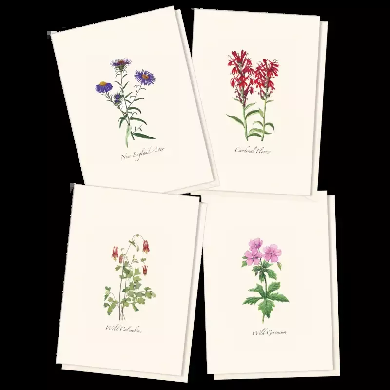 8-Piece Notecard Set: Meadow Wildflower Assortment