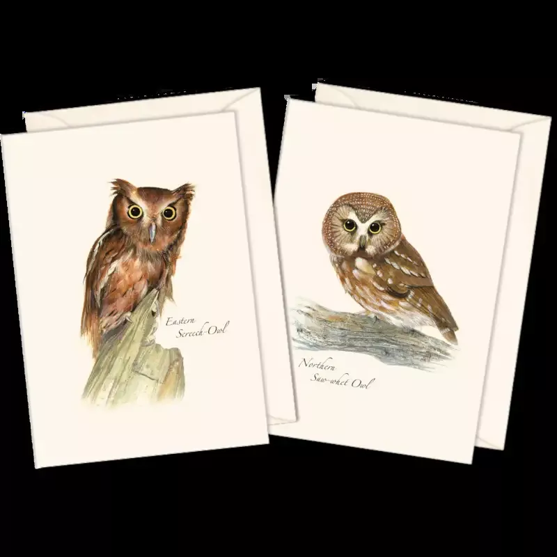 8-Piece Notecard Set: Owl Assortment II