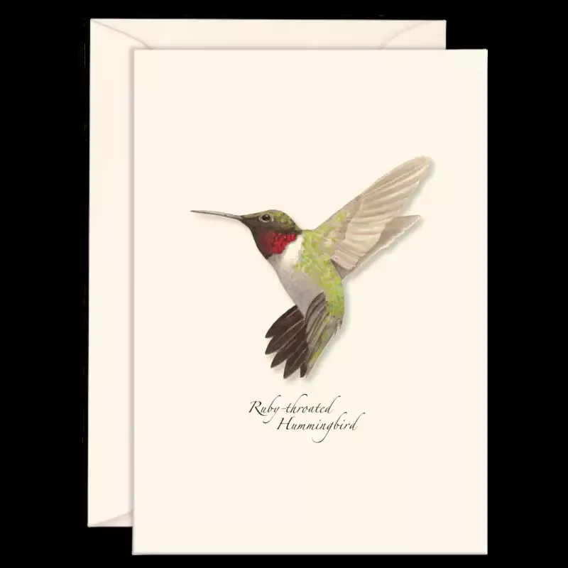 8-Piece Notecard Set: Ruby-Throated Hummingbird