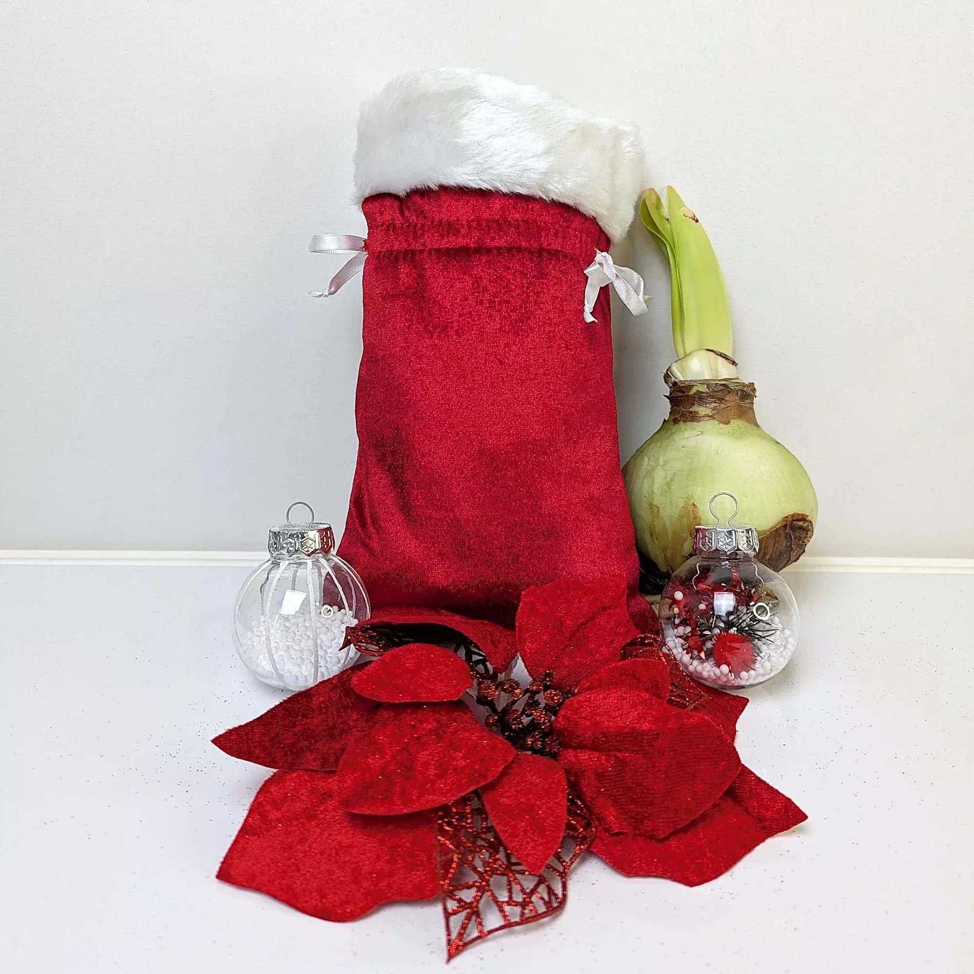 Amaryllis - Flower Bulb in a Santa Drawstring Gift Bag