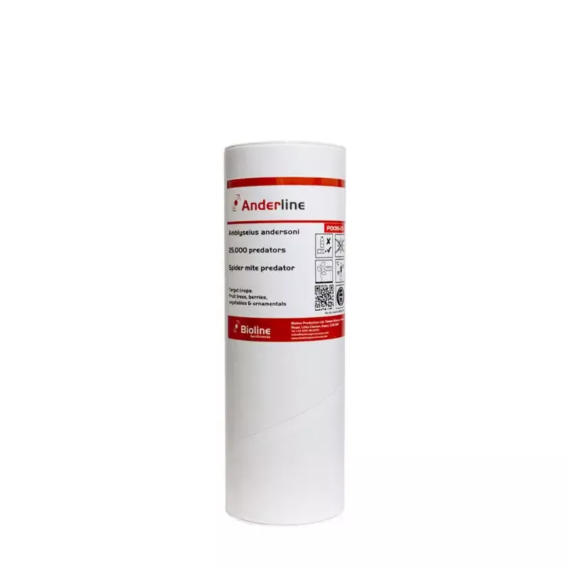 Amblyseius Andersoni for Spider Mite Control