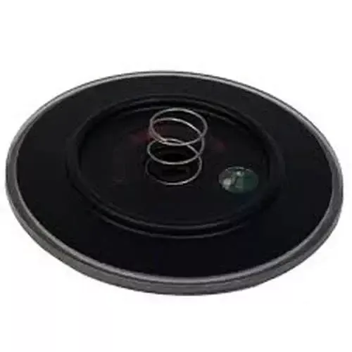 American Outdoor Grill Led Lighted Disk, Large