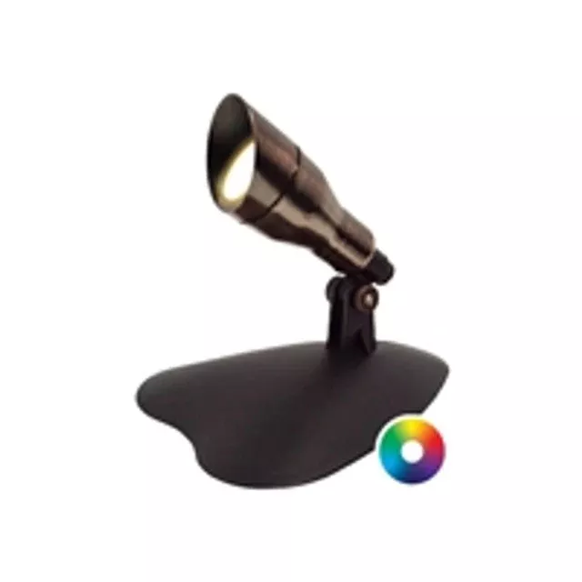 Anjon Color Changing Bronze Light