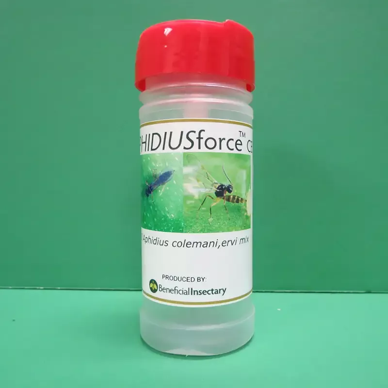 Aphidius Colemani/Ervi for Aphid Control