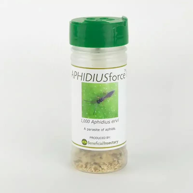 APHIDIUSforce E for Aphid Control