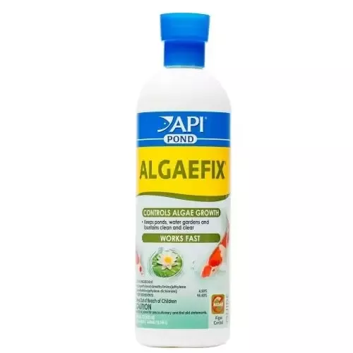 API ALGAEFIX, 16 oz.