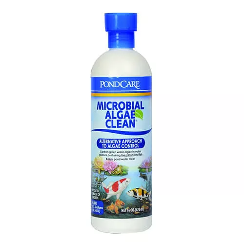 API Microbial Algae Clean 16oz.