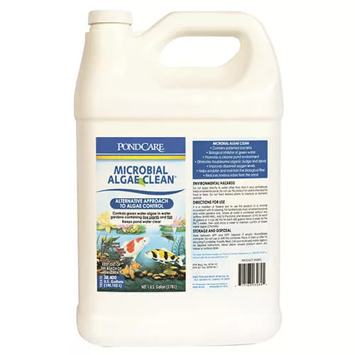 API Microbial Algae Clean 1gal.
