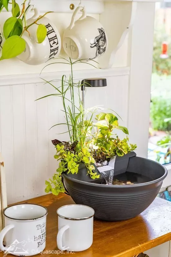 AquaGarden Tabletop Fountain Kit