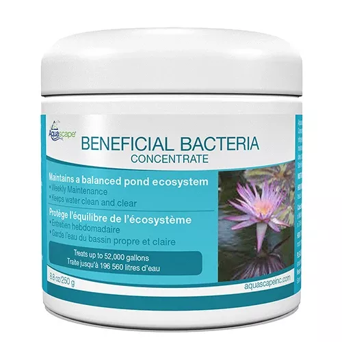 Aquascape 98948 Beneficial Bacteria Dry-250gr/8.8oz.