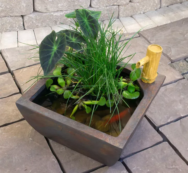 Aquatic Patio Pond Kit