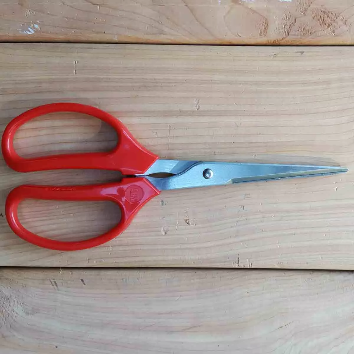 ARS Garden Scissors - Long (340HT)