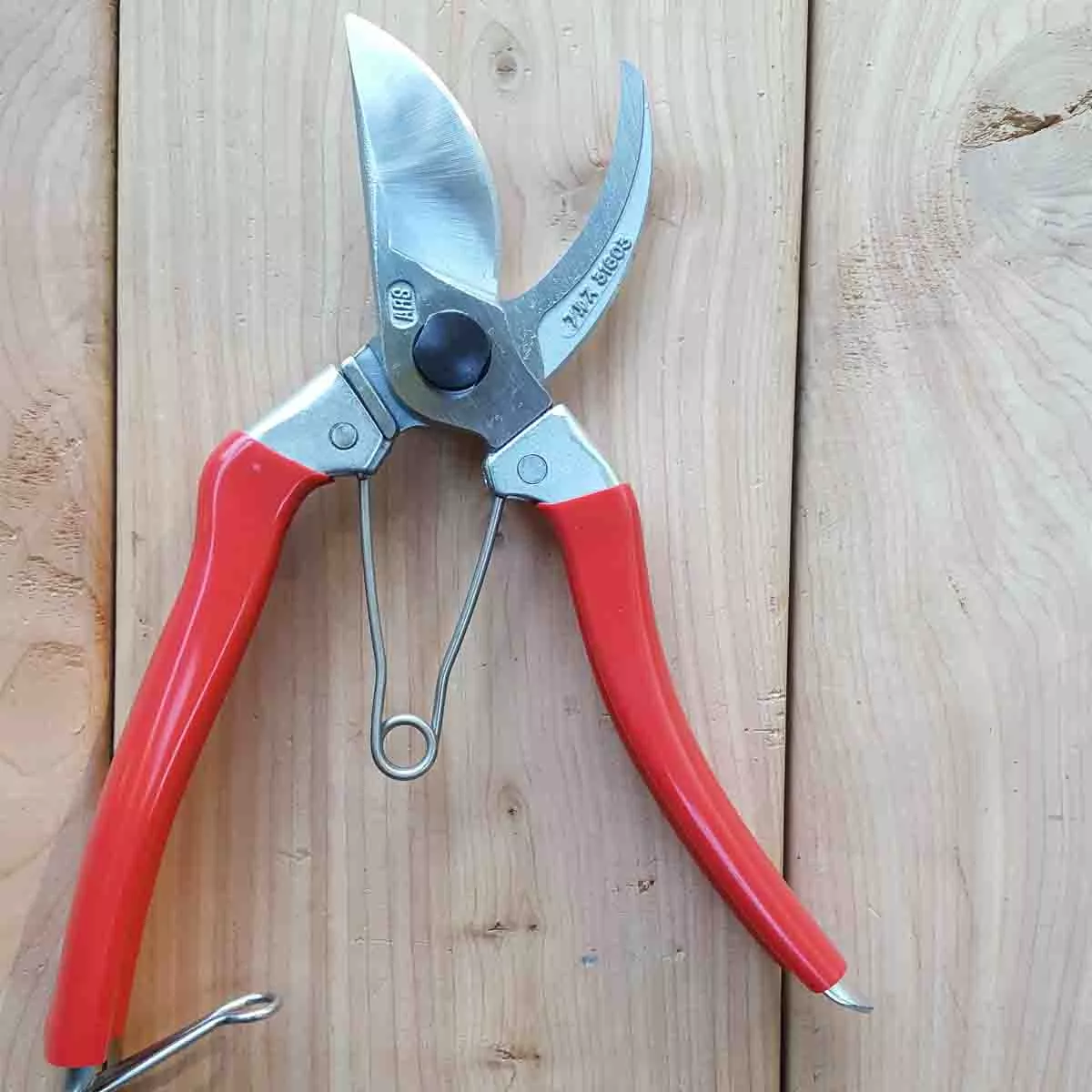 ARS Heavy Duty Drop-Forged Hand Pruner (120S8)