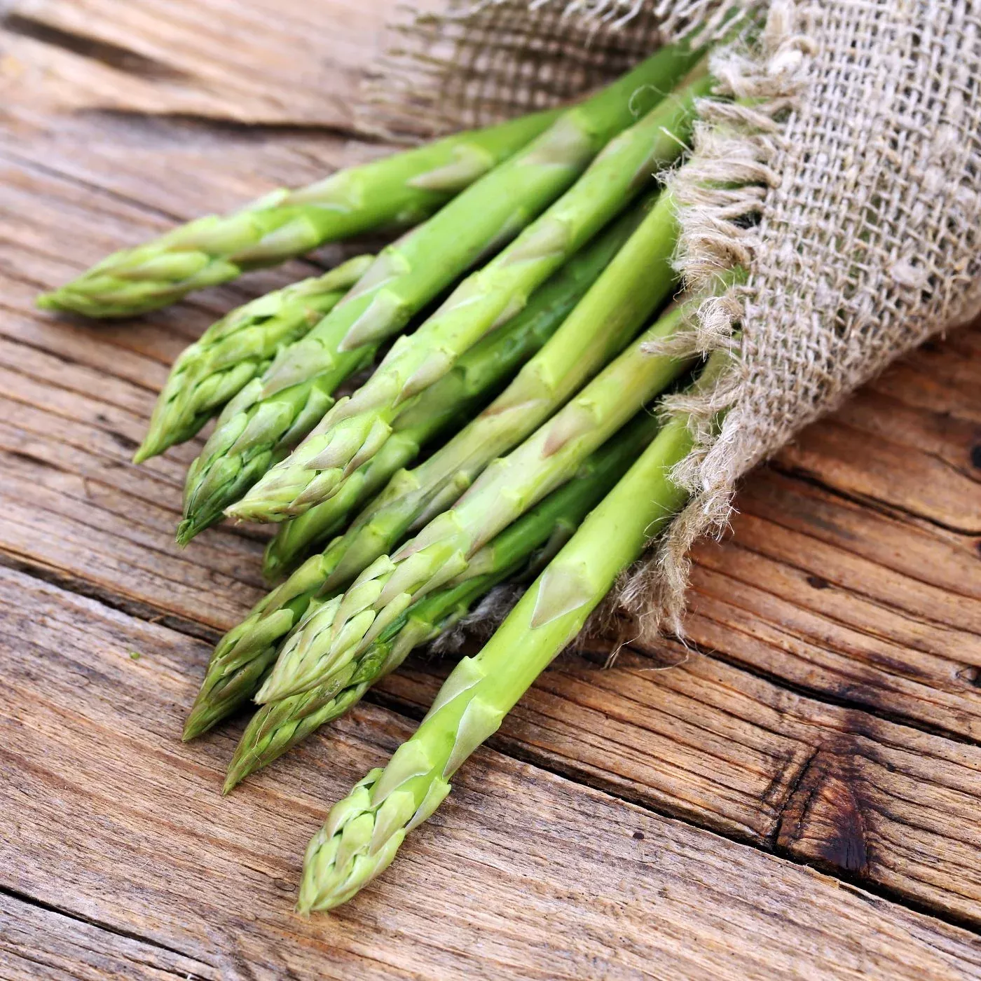 Asparagus - Millennium