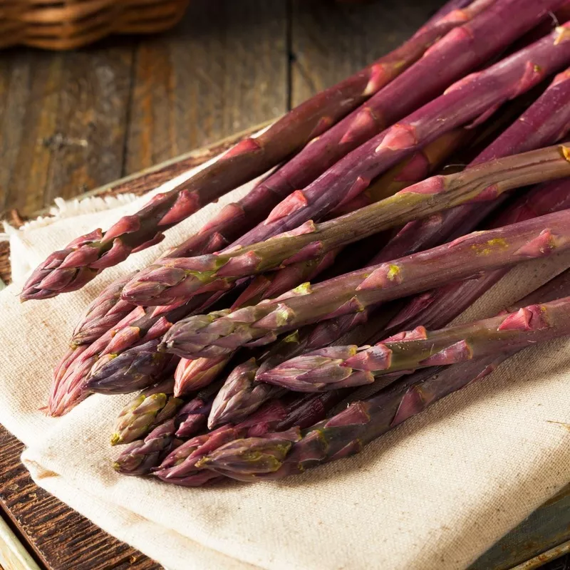 Asparagus – Purple Passion