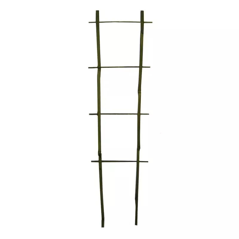 Bamboo Flair Trellis – Pack of 10