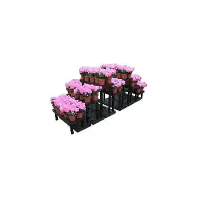 Benchmaster™ Wave Display