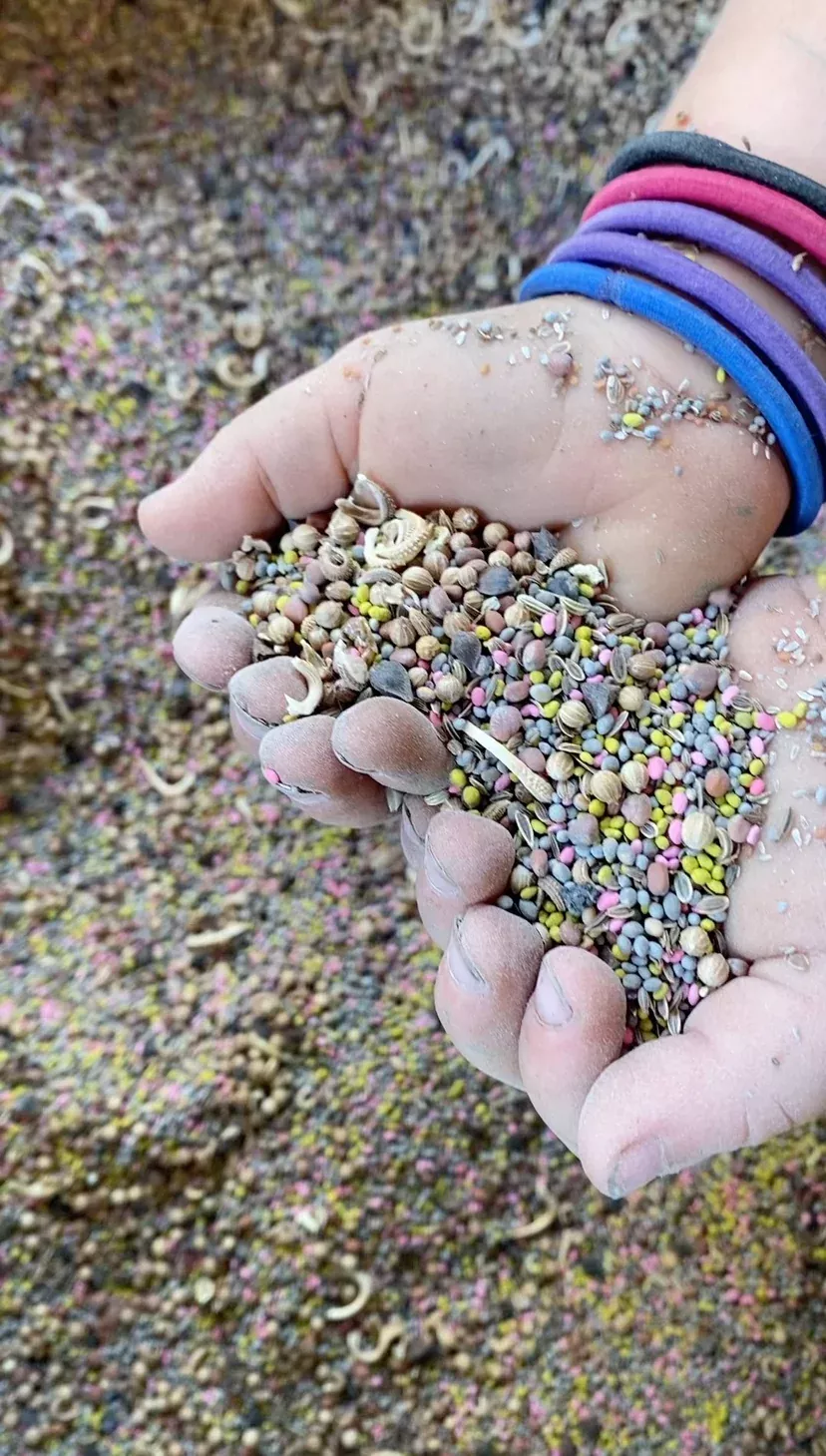 Beneficials Blend Seed Mix