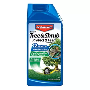 BioAdvanced 12 Month Tree & Shrub Protect & Feed Concentrate