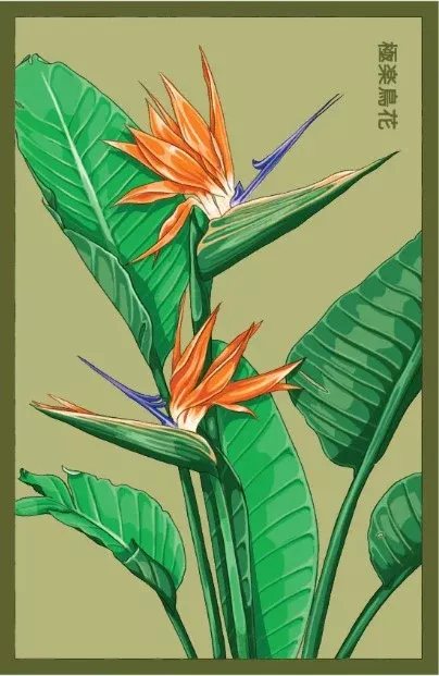 Bird of Paradise Flower Seed Packet