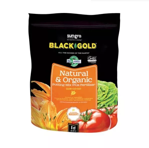 BLACK GOLD8 QT ORGANIC