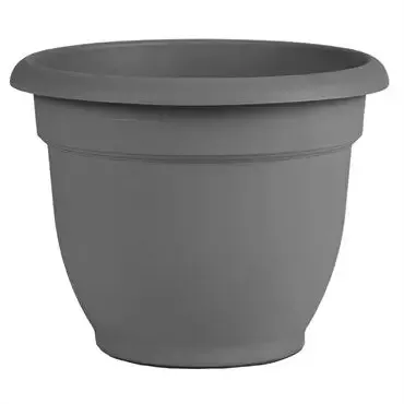 Bloem Ariana Plastic Self Watering Planter, 20″ Assorted Colors