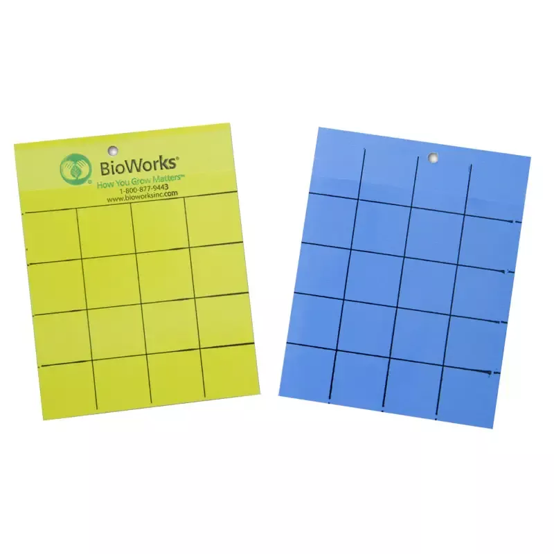 Blue/Yellow Sticky Card – Pack of 10