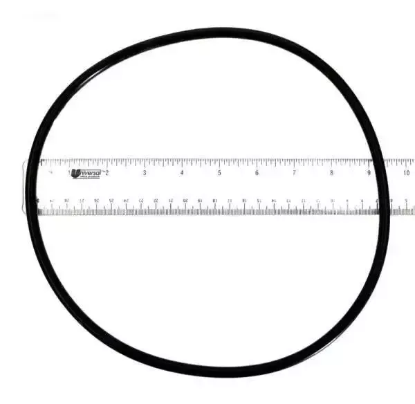 Body O-Ring