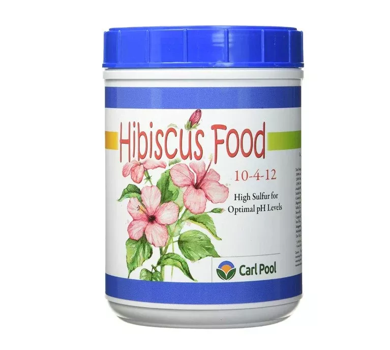 Carl Pool Hibiscus Food 10-4-12