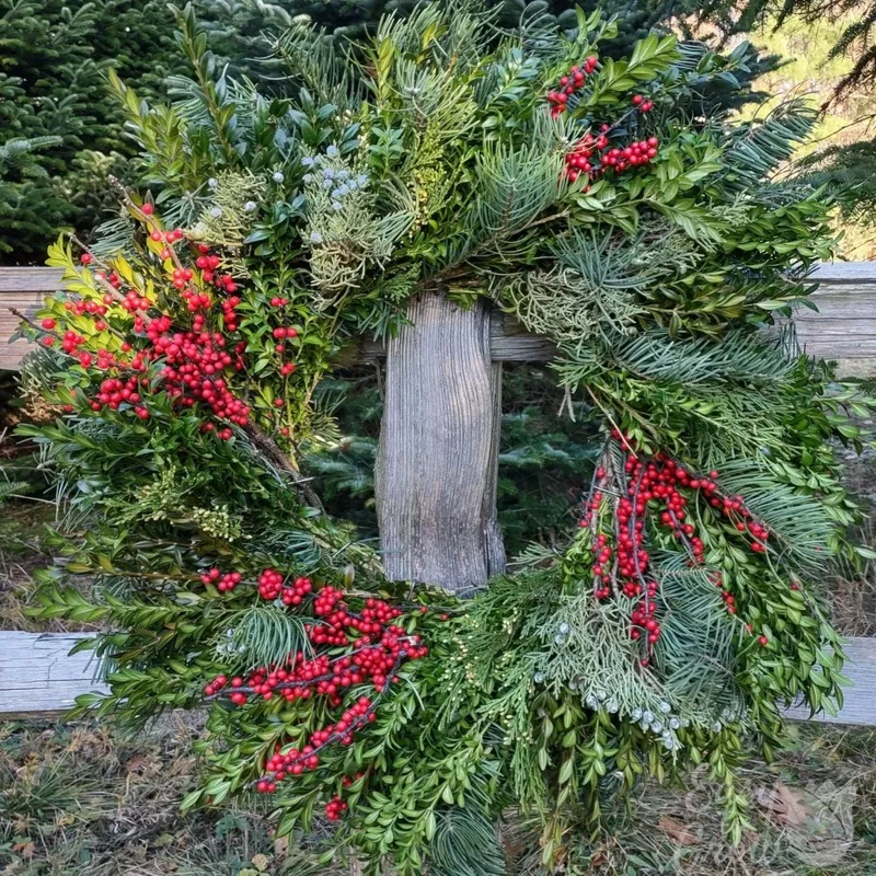 Cedar Ridge Luxe Christmas Wreath 24"