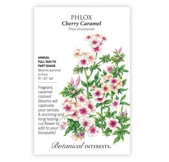 Cherry Caramel Phlox Seeds