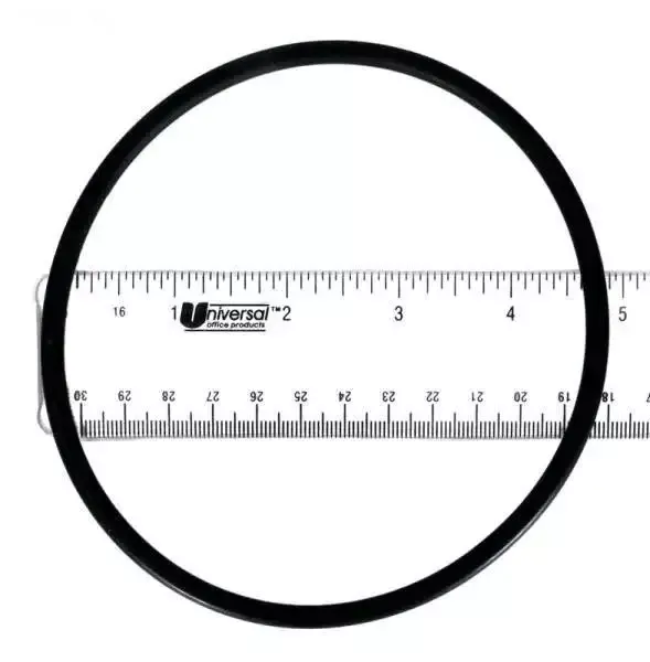 Chlorinator Lid O-Ring