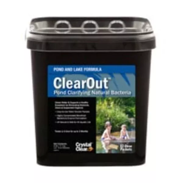 Clearout Pond & Lake