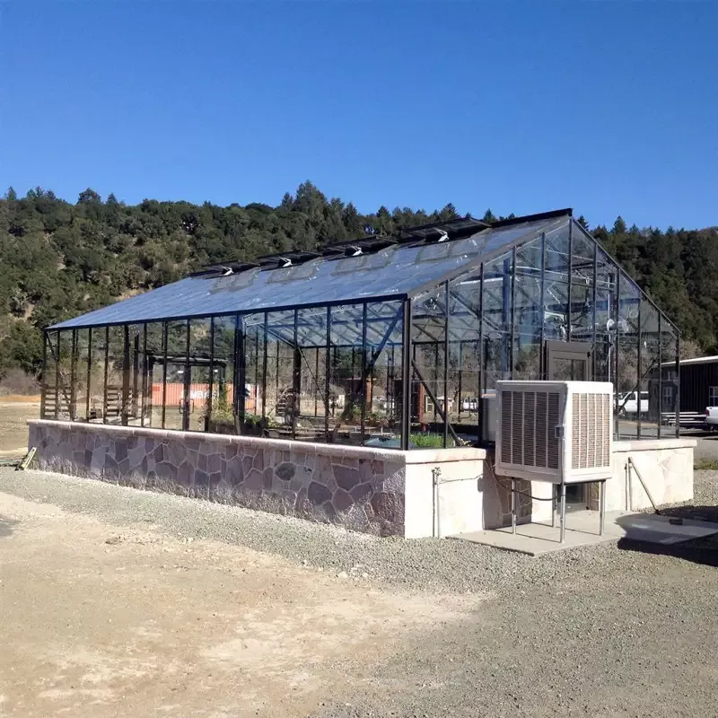 Collegiate Glass Greenhouse Package
