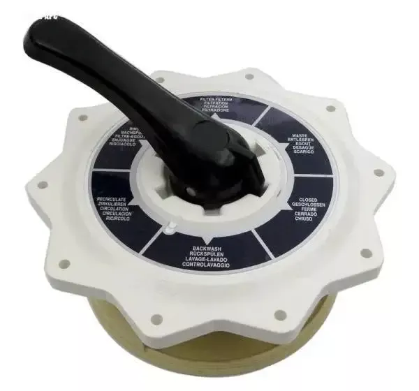 Cover and Plug Assembly(b)