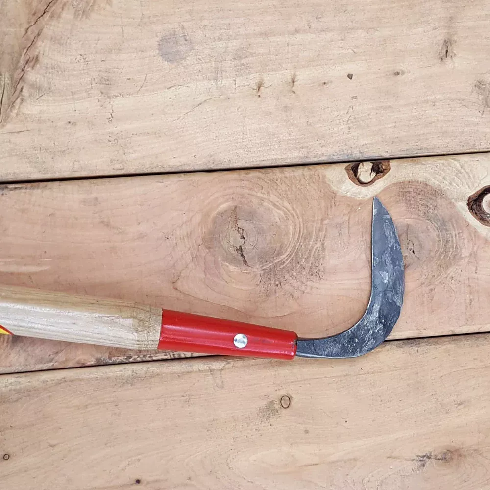 Crevice Weeder Long Handle