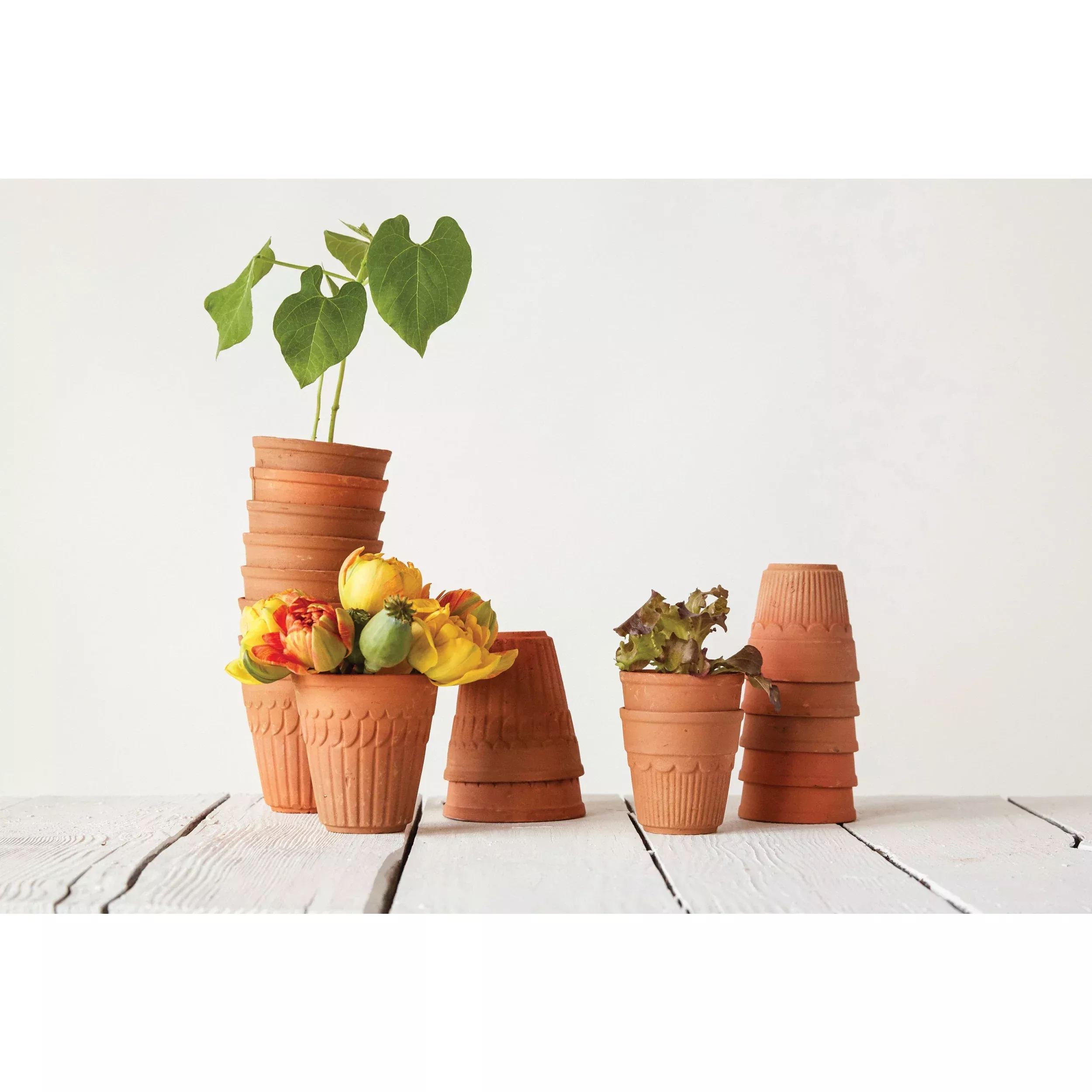 Decorated Terra Cotta Pots