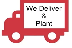 Delivery within 50mi 1 man