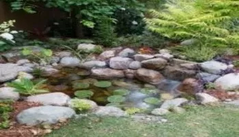 DIY Backyard Pond Kit