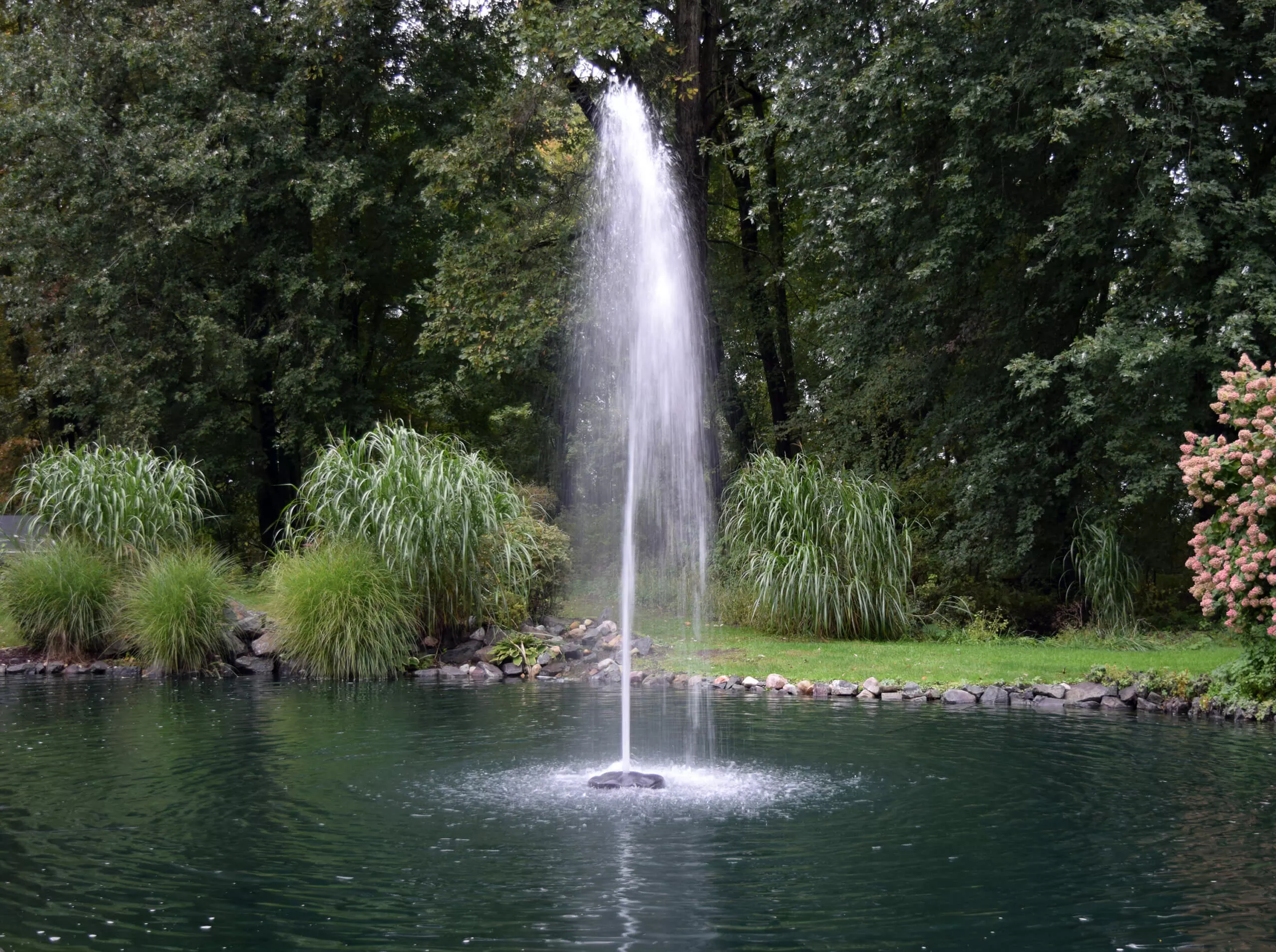EasyPro 1/2 HP AquaFountain