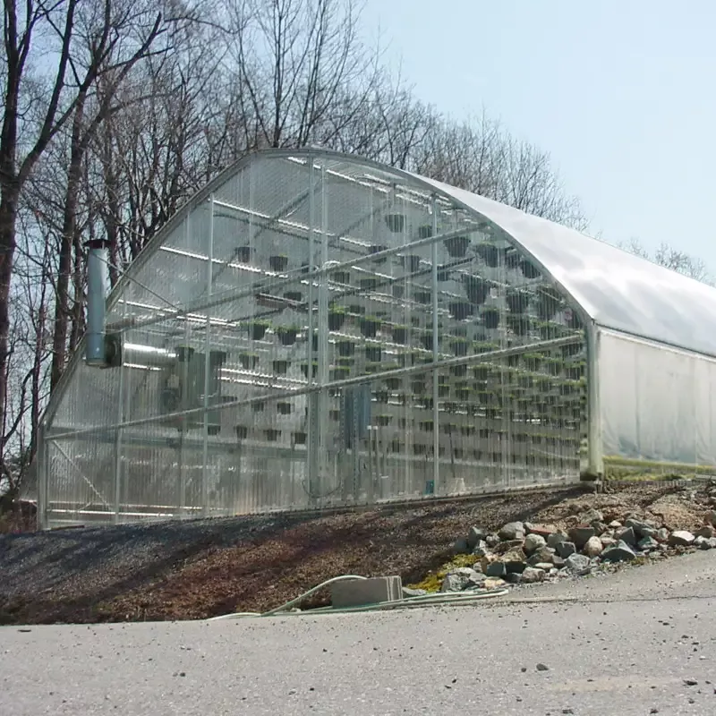 Economy Starter Greenhouse Package