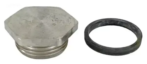 Element Hole Plug w/Gasket